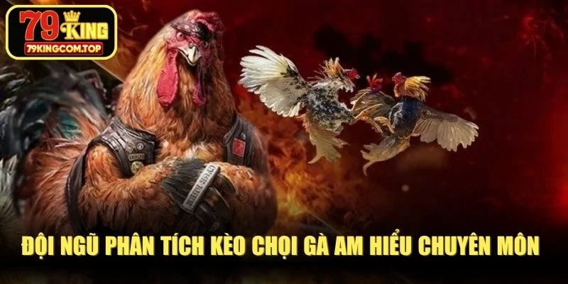 Đội ngũ phân tích kèo chọi gà am hiểu chuyên môn để thành công