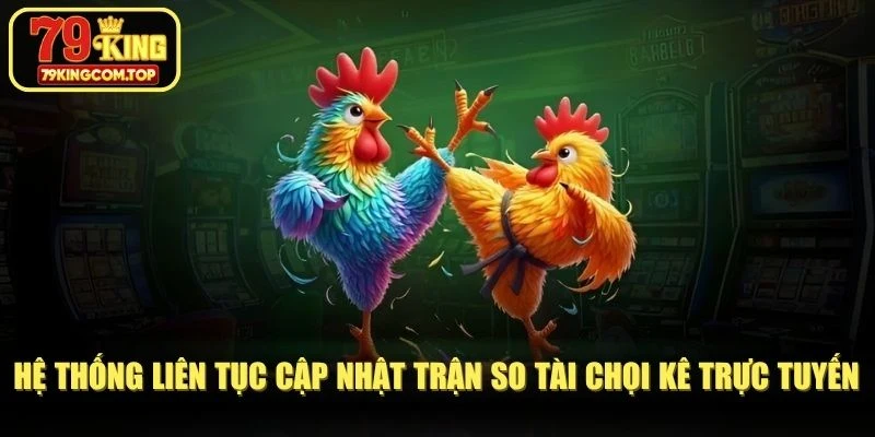Hệ thống liên tục cập nhật trận so tài chọi kê trực tuyến thế hệ mới