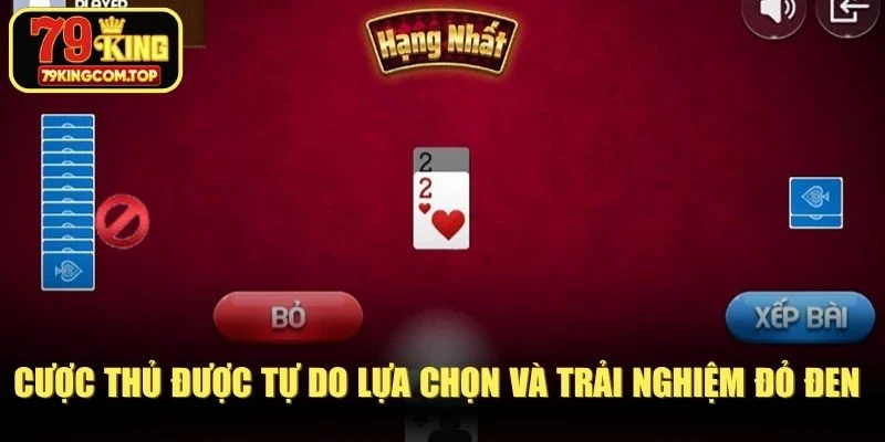 Cược thủ được tự do lựa chọn và trải nghiệm đỏ đen hàng ngày